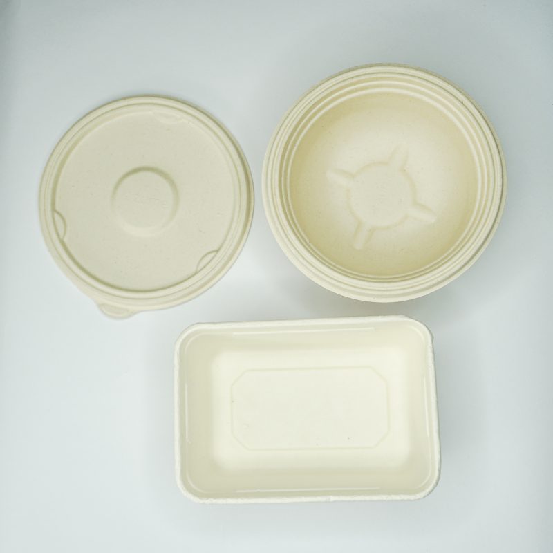 Bagasse containers
